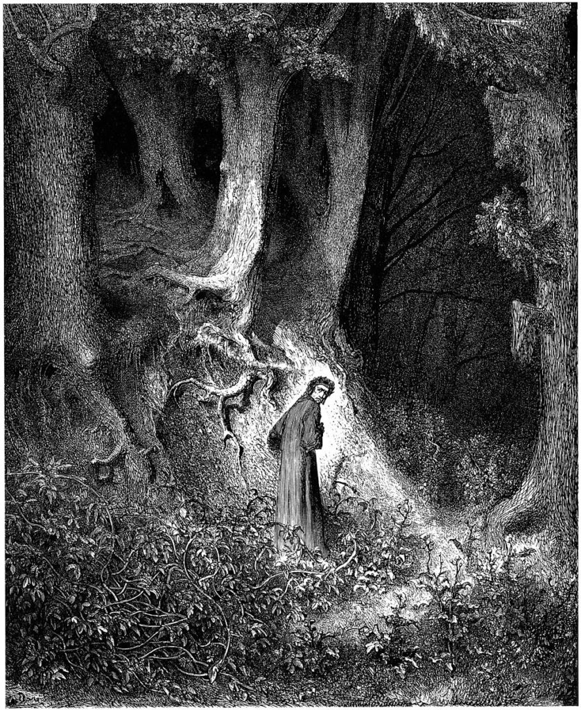 Gustave Doré  drawinf of Dante Alighieri in the Gloomy Wood