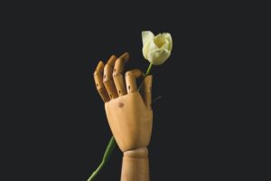 Wooden mannequin hand hold white tulip