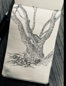 Hand-drawn tree in black ink on a sketchbook page.